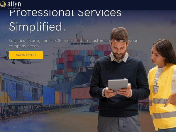 allynintl.com