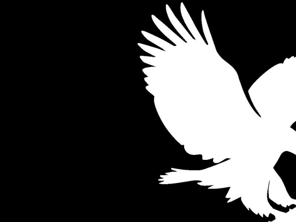 aloeveraproductsshop.eu