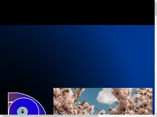 dianmondprojects.com