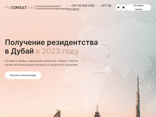 proconsultdubai.com