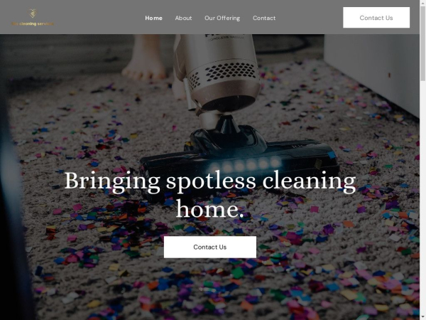 ts-cleaning-services.com